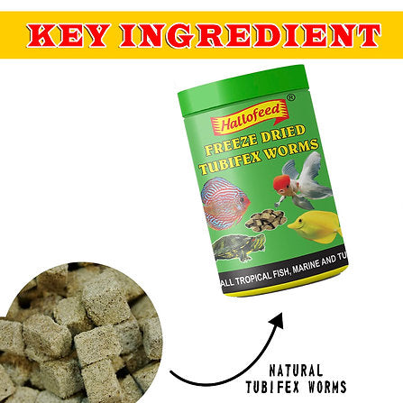 Hallofeed Freeze dried Tubifex Worms 40 gms