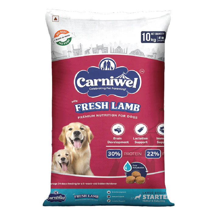 Fresh Lamb Large Breed Starter
