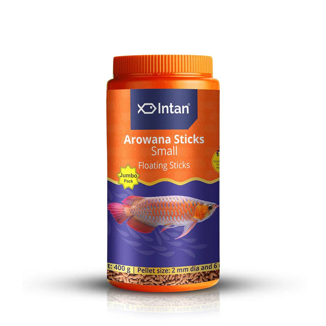 Intan Arowana Sticks (Small)