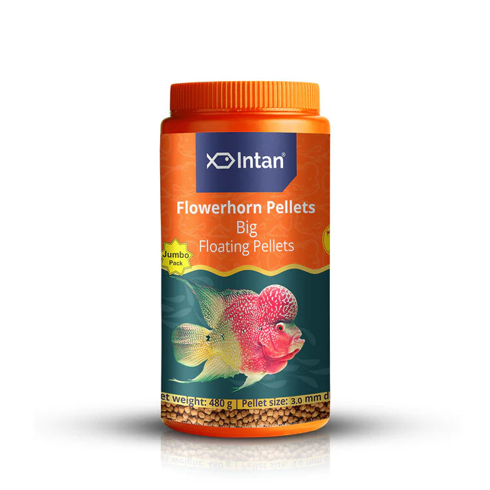 Intan Flowerhorn Floating Pellets (Big - 3 mm), 150 gms