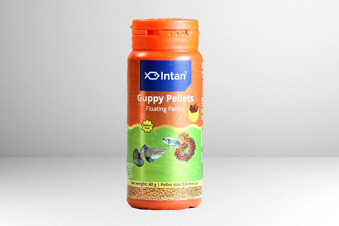 Intan Guppy Floating Pellets (0.8 mm), 60 gms