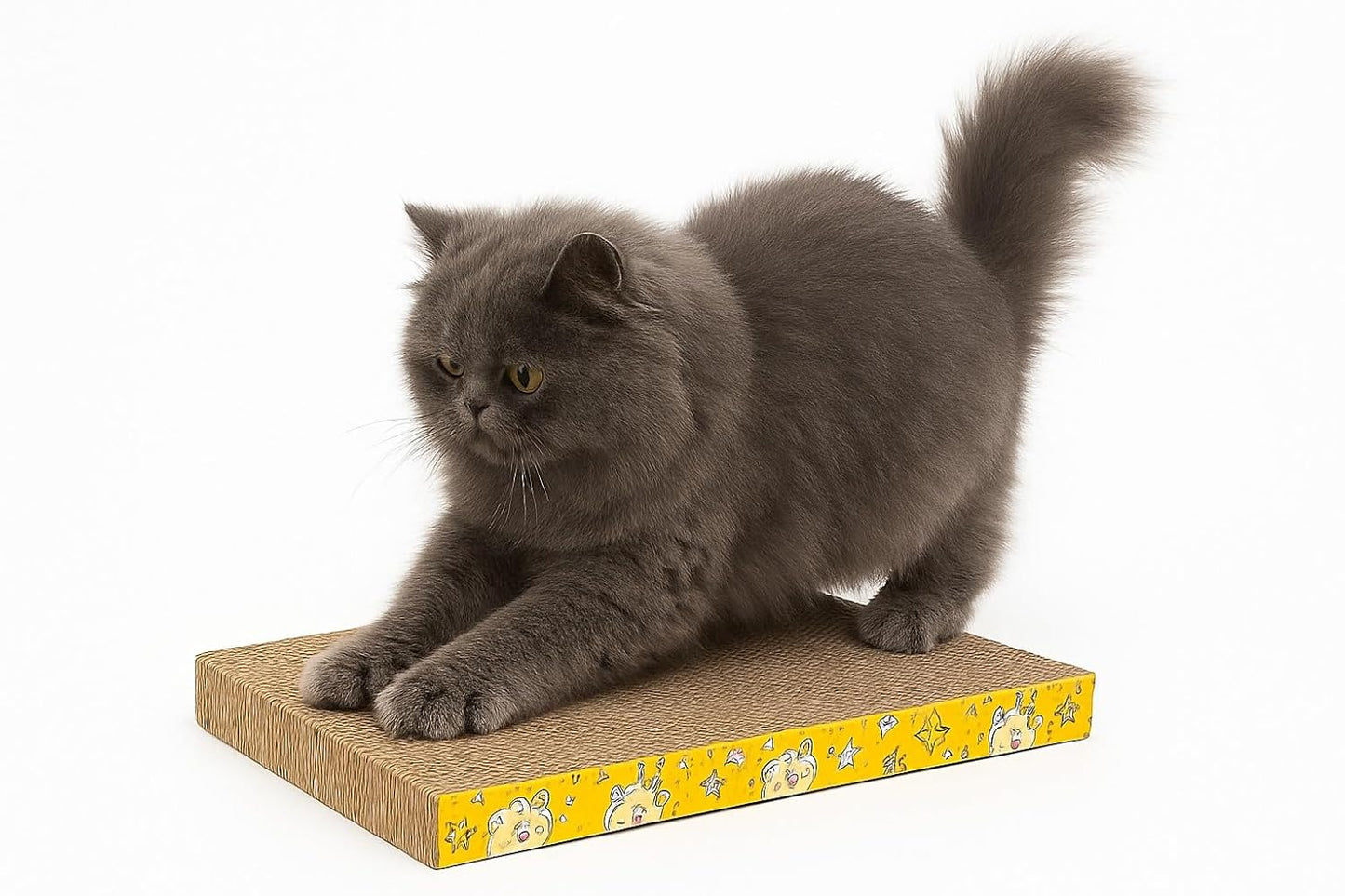 Premium Cat Scratch Pad for Indoor Cats | Durable Cardboard Scratcher for Claw Care