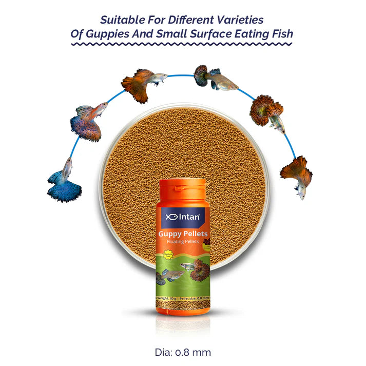 Intan Guppy Floating Pellets (0.8 mm), 60 gms