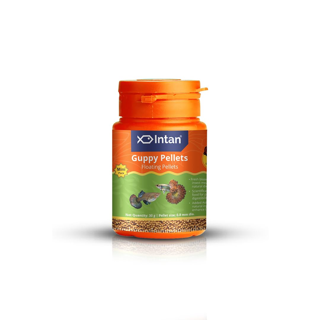 Intan Guppy Floating Pellets (0.8 mm), 60 gms