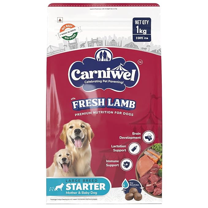 Fresh Lamb Large Breed Starter