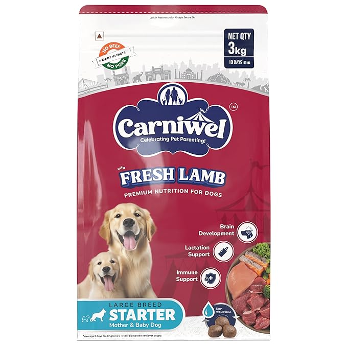 Fresh Lamb Large Breed Starter