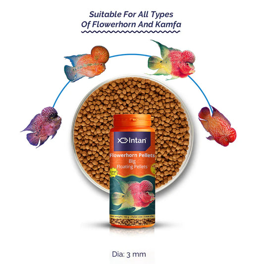 Intan Flowerhorn Floating Pellets (Big - 3 mm), 150 gms