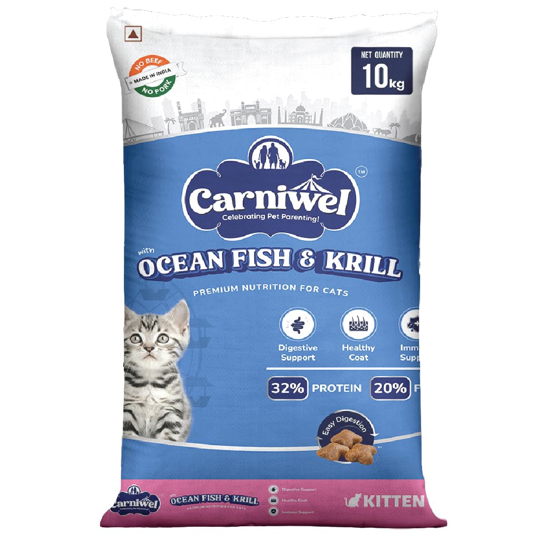 Ocean Fish and Krill Kitten