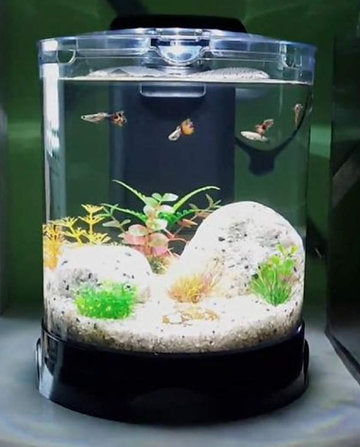 DoPhin Round Mini Tank BT-112 (5.2 L) with LED Light and submersible Filter