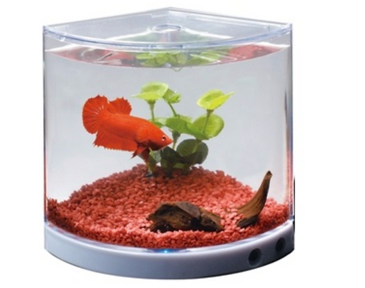 DoPhin Mini Tank T-101 for Betta and Small Fish with 1 colour LED light