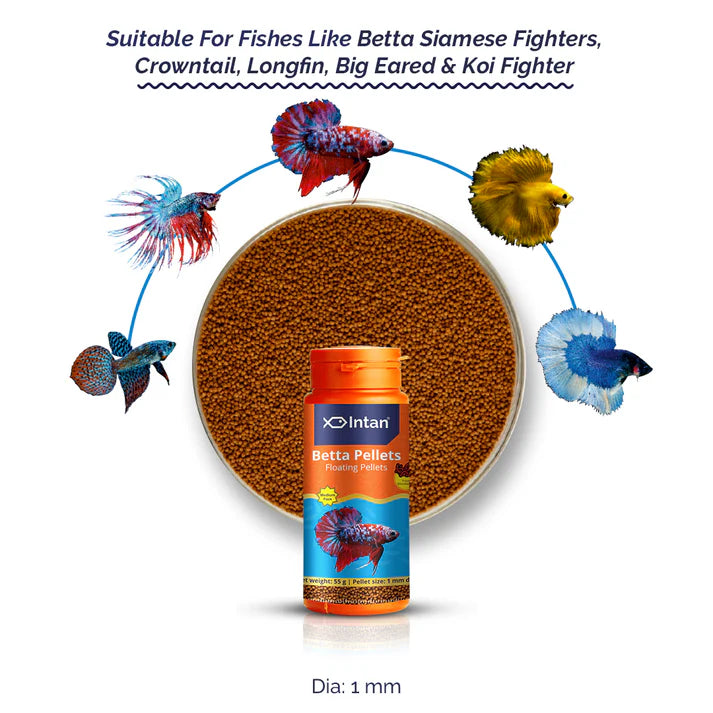 Intan Betta Floating Pellets (1 mm), 55 gms