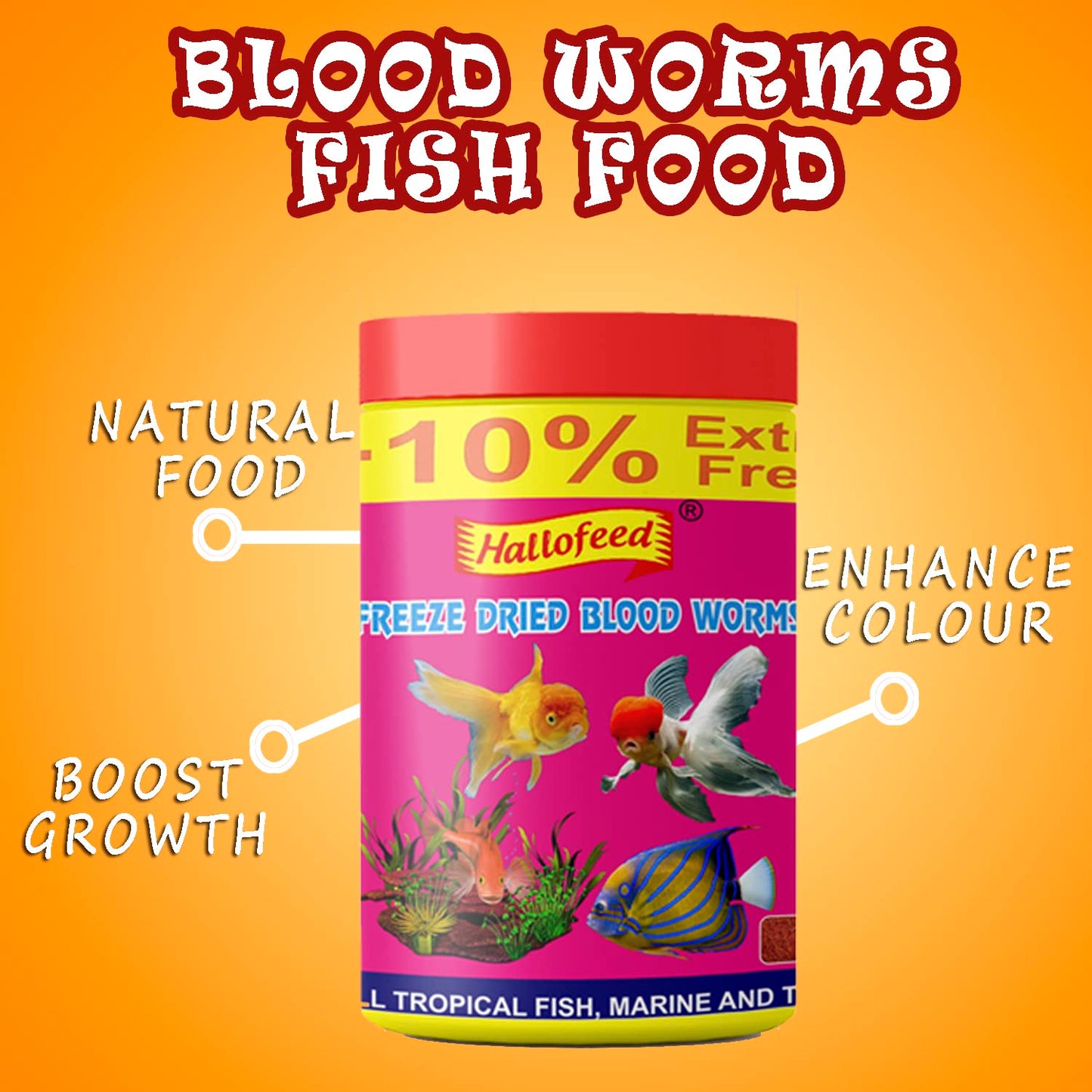 Hallofeed Freeze Dried Blood Worms| Premium Fish Food | High Protein Treat for Betta, Flowerhorn, Goldfish & Tropical Fish