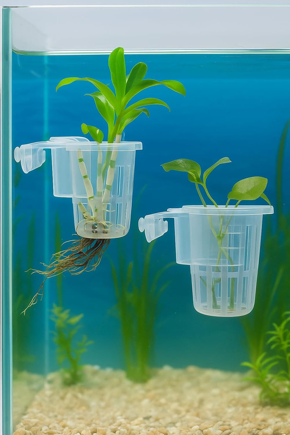 Aquarium Hanging Plant Holder Cups (Pack of 2) – Transparent Plastic Pots for Live Aquatic Plants